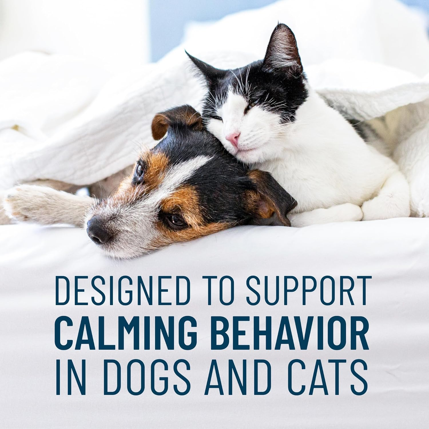 Nutramax Solliquin Calming Behavioral Health Supplement for Small to Medium Dogs and Cats - with L-Theanine, Magnolia/Phellodendron, and Whey Protein Concentrate, 75 Soft Chews image number 4