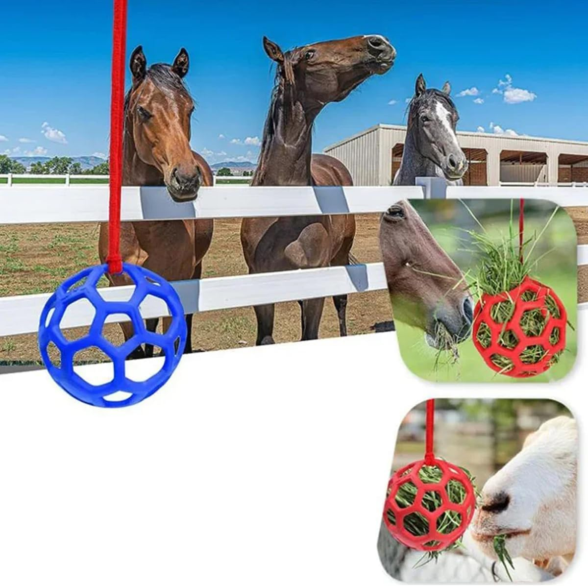 AIMALL Horse Treat Ball, Stable Hanging Hay Feeder, Polo Hay Feeding Ball Toy, 5.5 Inch Diameter, Red, Blue, Green - Red image number 7