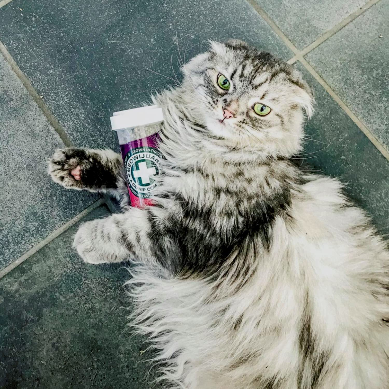 Meowijuana | Bundle of Mice Dreams, Kalico Kush, and Meowi-Waui | Organic | Dried Premium Ground Catnip | High Potency | Perfect for Cat Toys | Grown in the USA | Feline and Cat Lover Approved