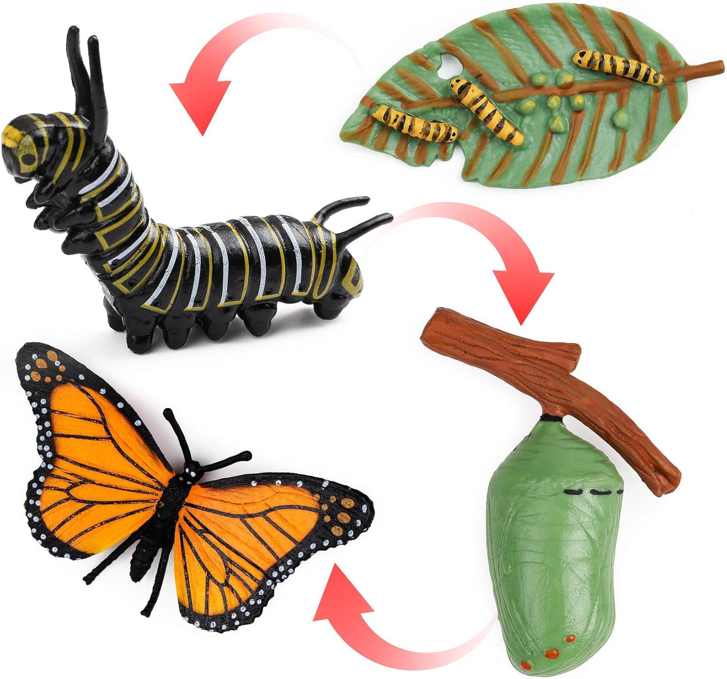 UANDME Life Cycle Figurines of a Monarch Butterfly and a Frog Realistic Education Insects Life Stages Figures for Learning and Teaching Aids image number 3
