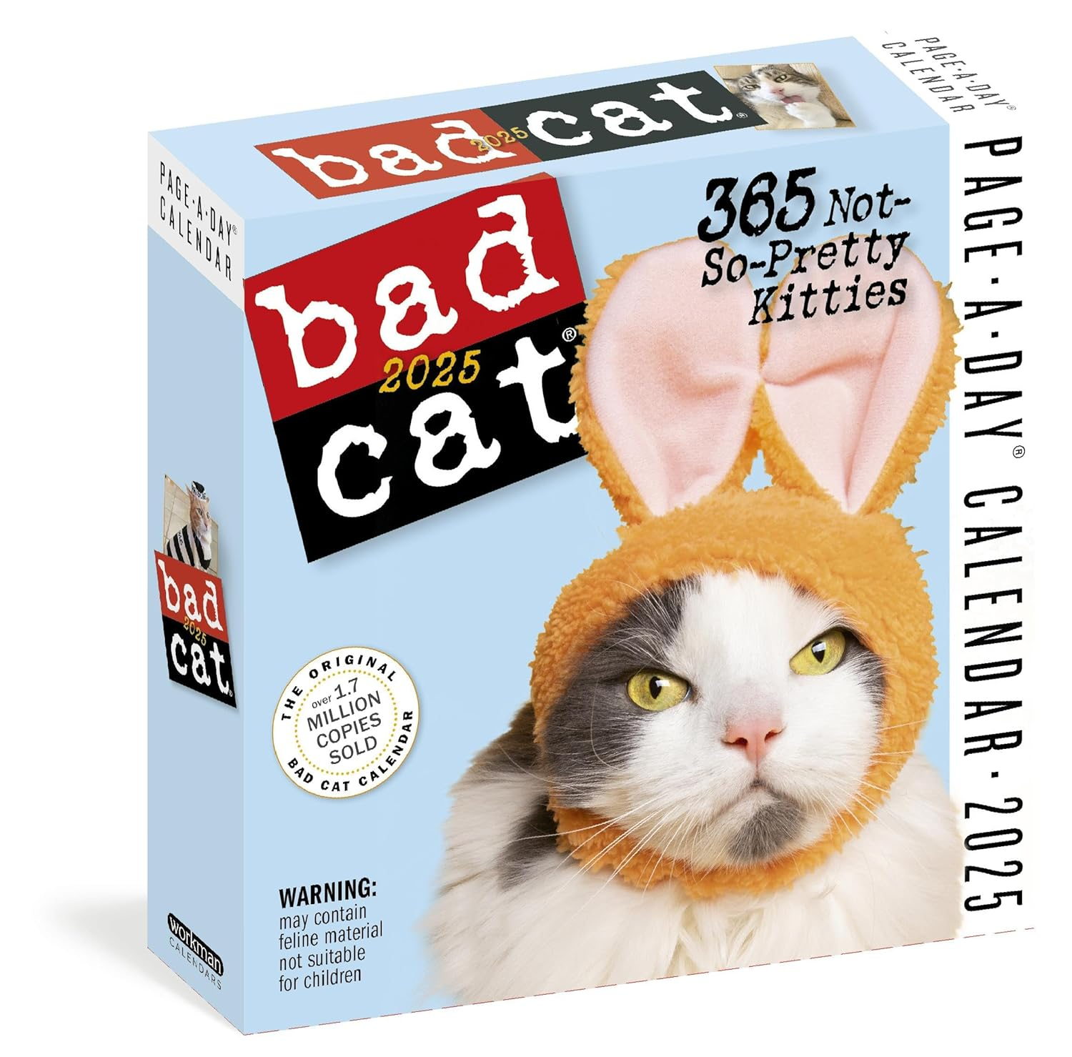 Bad Cat Page-A-Day(R) Calendar 2025: 365 Not-So-Pretty Kitties image number 1