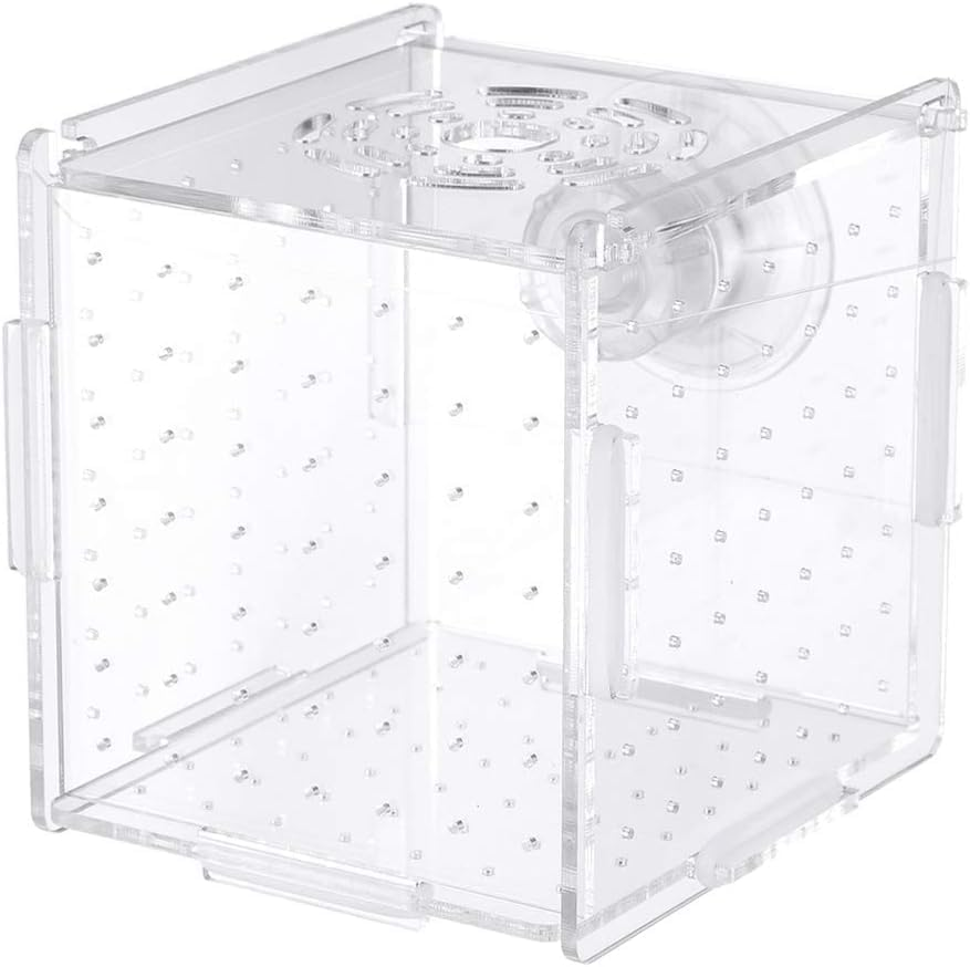 Acrylic Fish Breeding Box, 1Pc Transparent Acrylic Aquarium Isolation Box with Suction Cup,Acrylic Fish Isolation Breeding Box image number 6