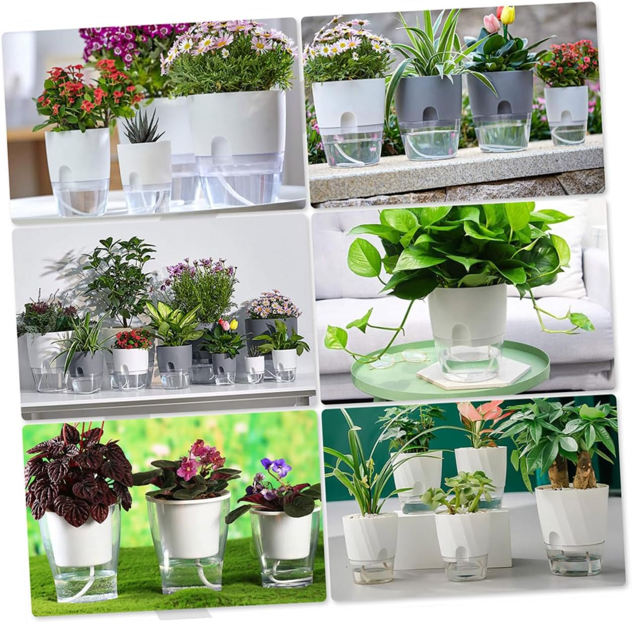 Yardenfun Gardening Cotton Rope Accessories Absorbent Rope for Potted Plants Self Watering Pot Cord Cotton Hydroponic for Indoor Plant Hydroponics Supplies image number 2