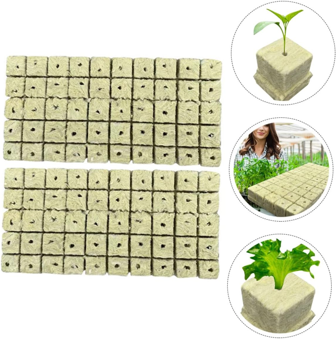 CANIGHT 100Pcs Mushroom Substrate Blocks Plant Nursery Blocks Easy to Use Garden Supplies image number 3