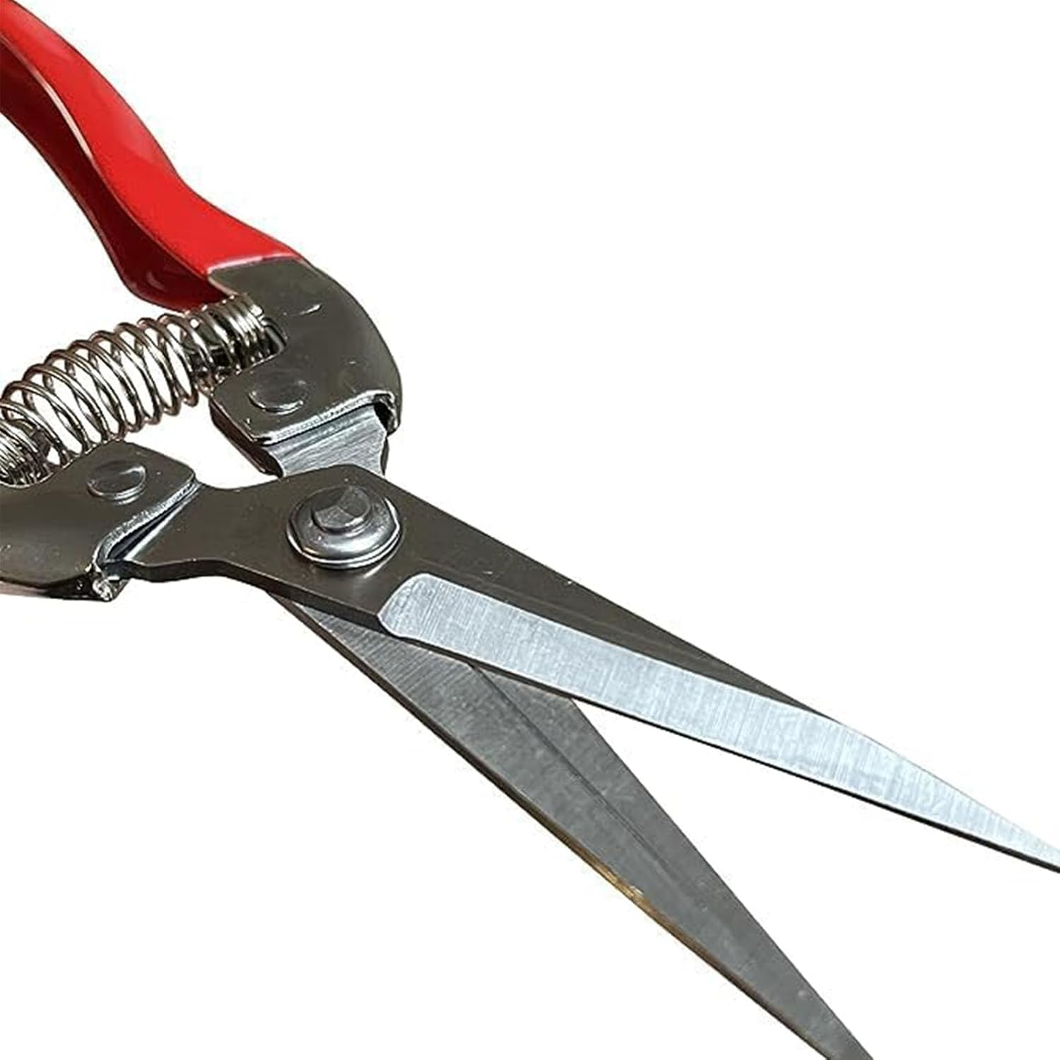Straight Stainless Steel Pruner Pruning Shears Clippers Snips &ndash; Sharp Bonsai Cutter Plant Trimming Scissors &ndash; Straight Blade Garden Scissors Tool &ndash; Great for Roses Flowers Herbs Fruits image number 2