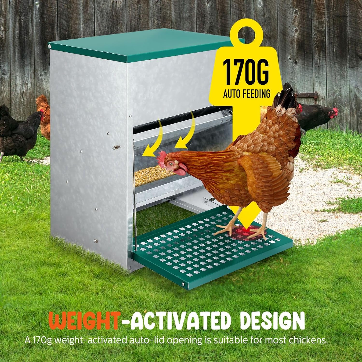 Auto Chicken Feeder 10Kg Automatic Treadle Poultry Chook Rat Proof Food Dispenser Feeding Equipment Galvanized Steel image number 6