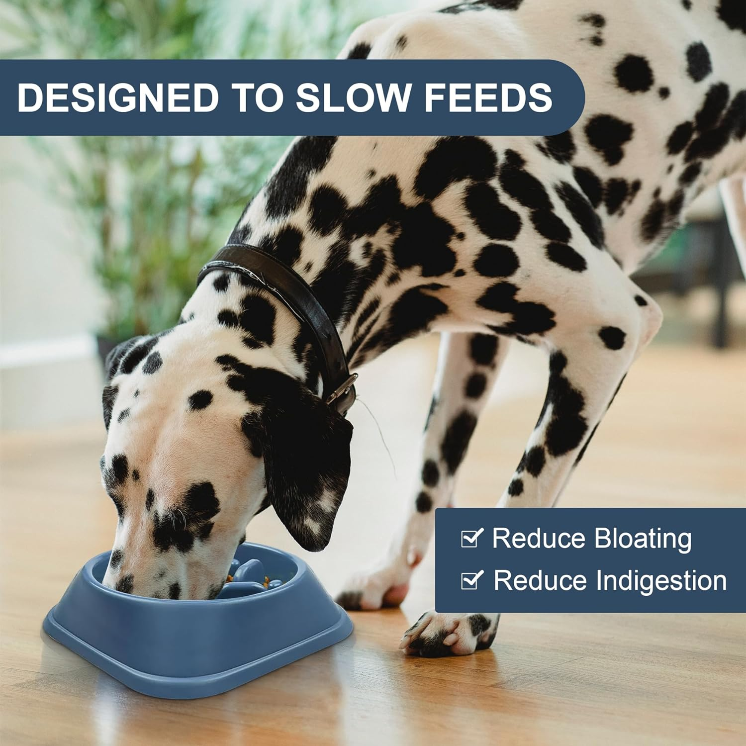 Slow Feeder Dog Bowl - Interactive Feeding, 500Ml (2 Cup) Capacity, Reduces Bloating, Fan Puzzle Design, Small to Medium Dogs, Food Grade Material, Non-Slip, Anti-Gulp, Durable (Green)