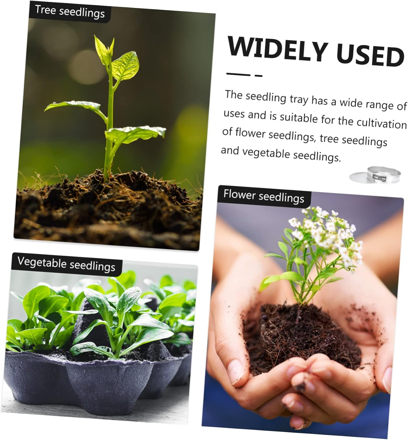 Stainless Steel Microgreens Growing Tray Set Lid, Stackable Nursery Growing Tray for Soilless Germination and Indoor Gardening Supplies image number 2