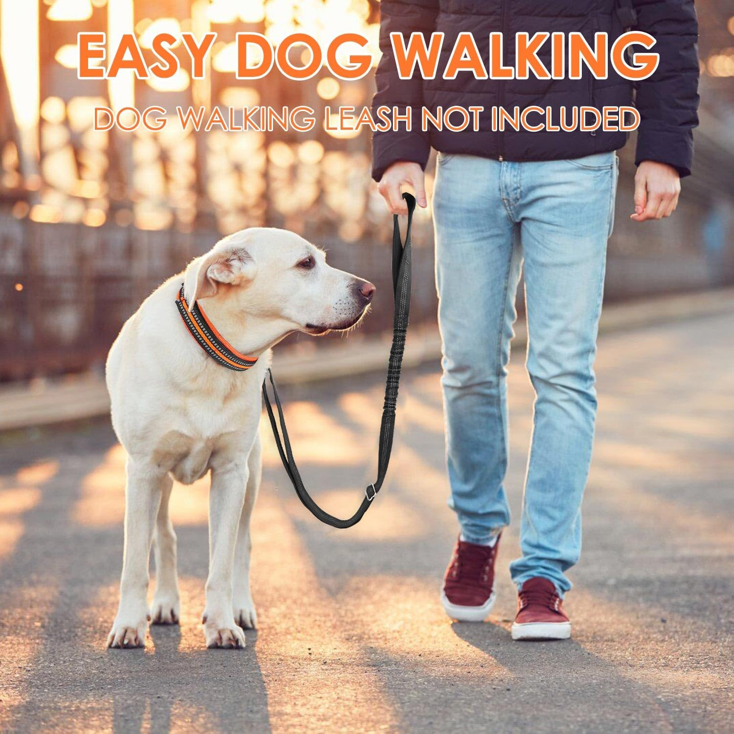 AUTOWT Reflective Dog Collar, Soft Neoprene Padded Breathable Nylon Pet Collar, Adjustable Classic Puppy Collars with Safety Locking Buckle for Small Medium Dogs Walking (Orange, S) image number 4