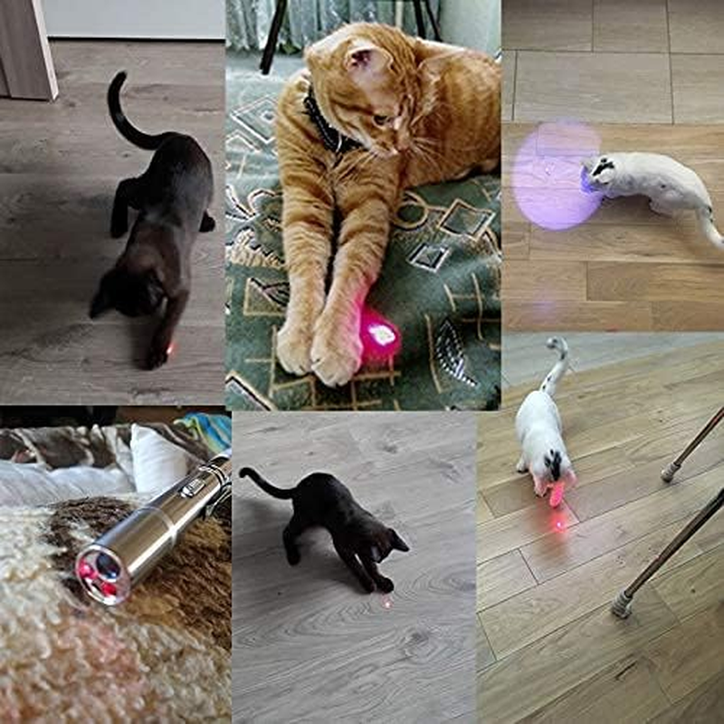 Interactive Cat Toys for Indoor Cats, Cat and Dog Chase Catch Funny Toys, Kitten Mice Chaser Cat Toys for Indoor Pets, Great Puppy Dogs Gadget for Exercise, Playing and Keep Busy image number 6