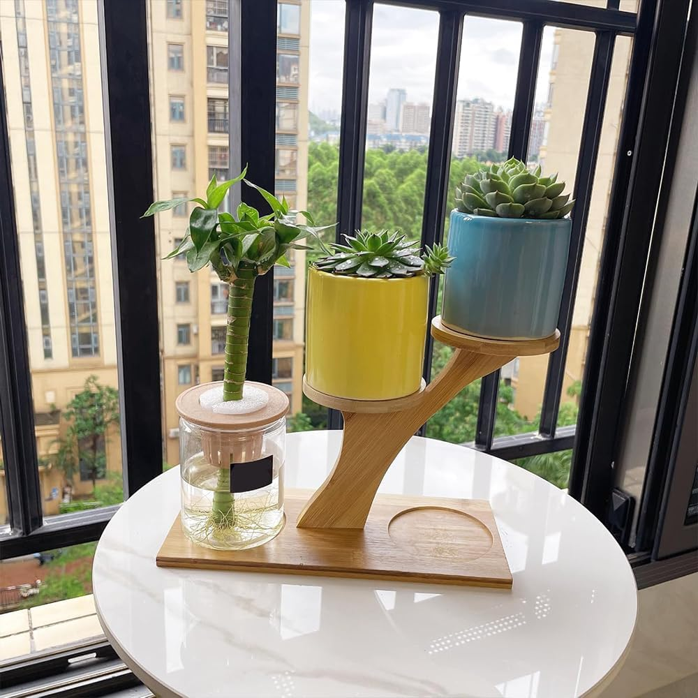 Window Sill Plant Shelf &ndash; Bamboo Desktop Plant Stand for Succulents, Herbs, and Flowers, Tabletop Plant Holder for Home, Office, Living Room, Bedroom Decoration