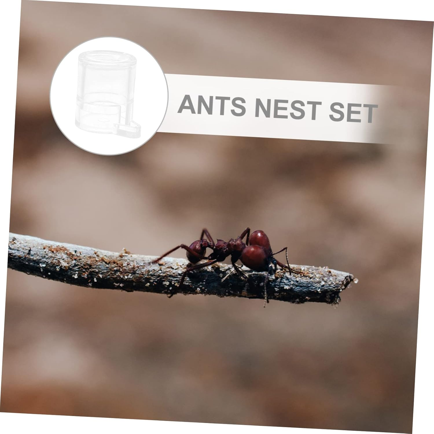 Ant Water Feeder Bowl Acrylic Small Size Formicarium Nest Drinking Tool for Ant Habitat Pet Supplies image number 4