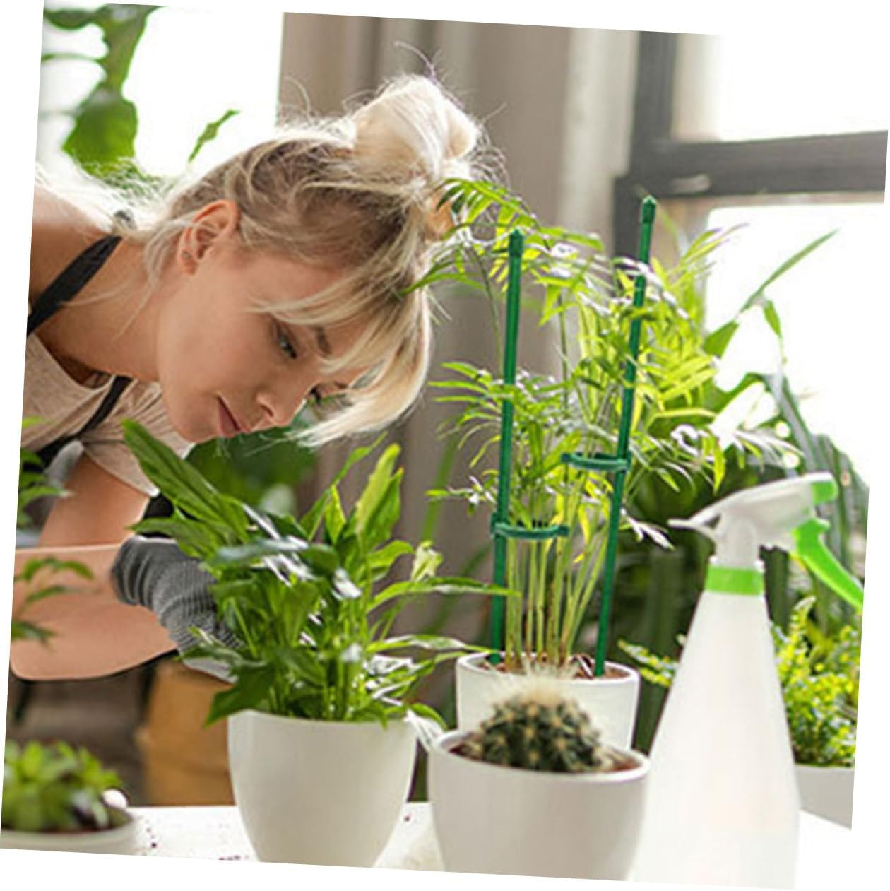 Plant Support Stakes for Garden Plants Flower Support Stakes Adjustable Clamps for Supporting in Outdoor Gardens image number 3