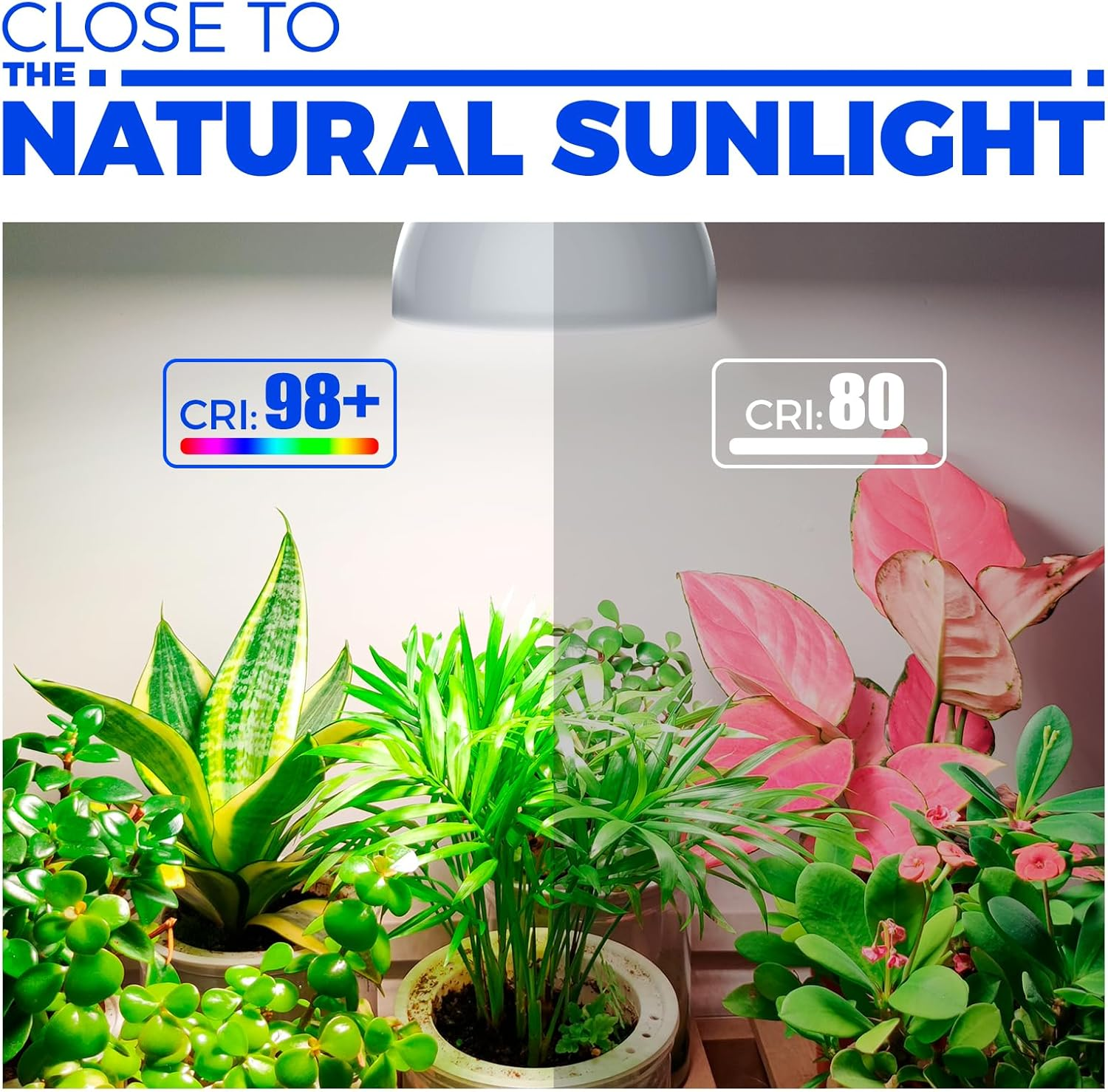 Barrina Grow Light for Indoor Plants, 25W Full Spectrum LED Grow Light Bulb with Timing and Hanging System, 4H/9H/14H Timer, Grow Lamp for Seedlings Growing, Blooming, Fruiting image number 2