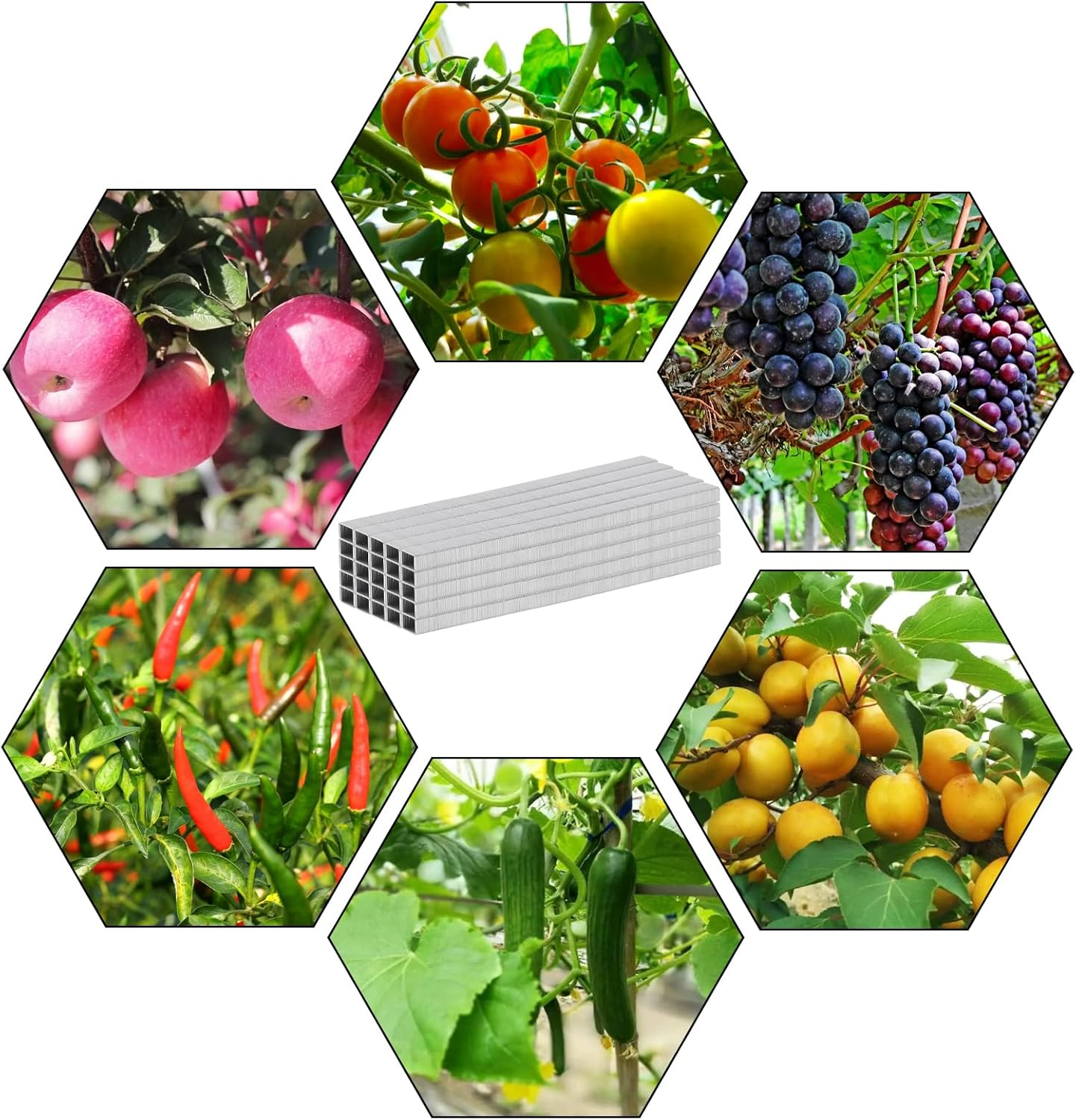 Replacement Staples Tapener Parts 1/4 Inch Length 210 per Strip 26/6 Standard Staples for Staplers, 10,000 General Purpose Staples image number 4