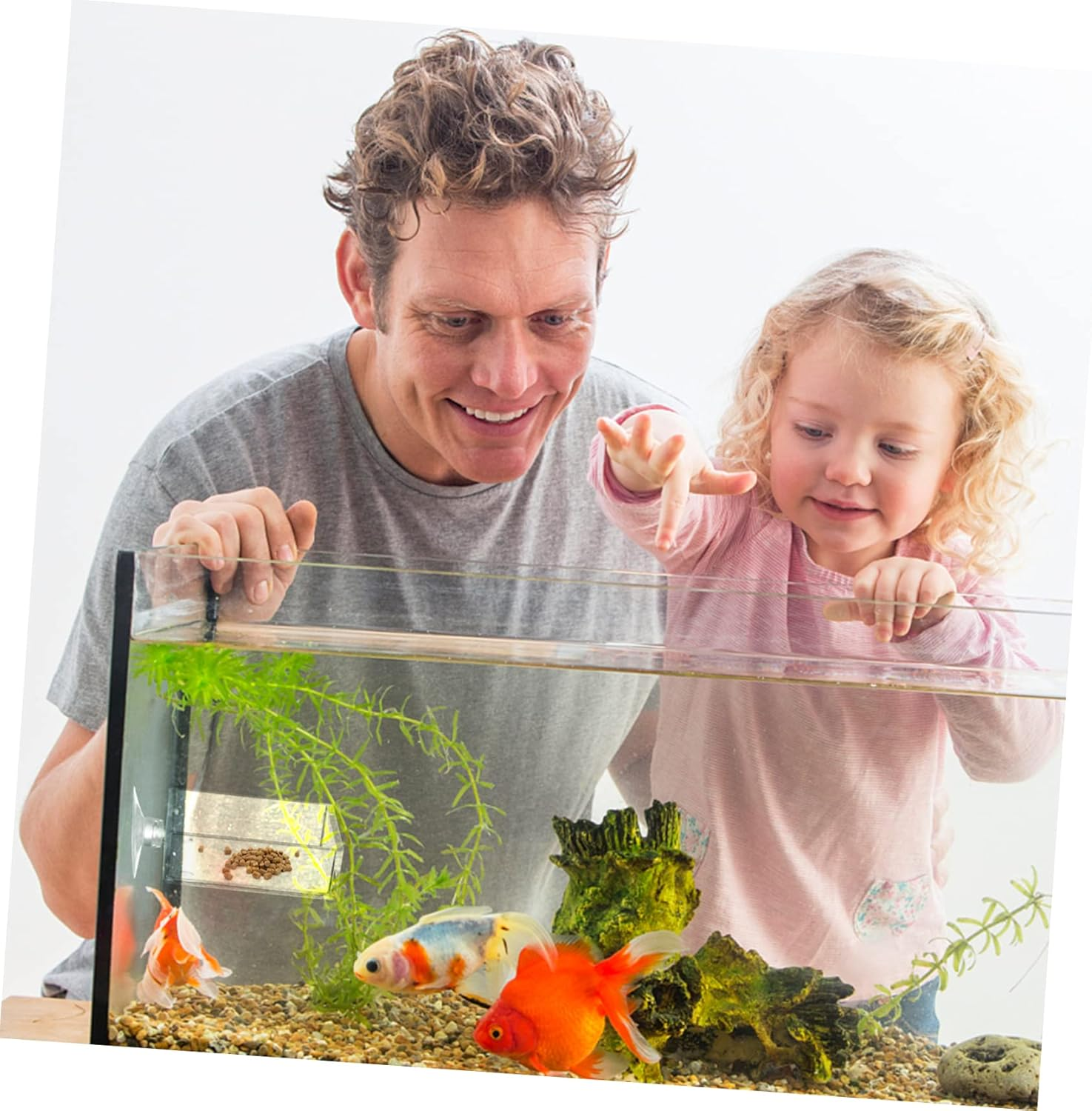 BESPORTBLE 4Pcs Fish Feeder Bowl with Cup Height Feeding Tool for Shrimp and Fish Tanks Easy to Clean and Install Convenient Feeding