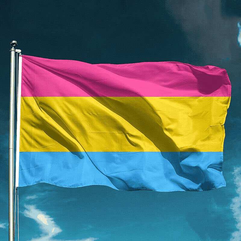 AIMALL Pansexual LARGE Flag 150X90Cm Pan Sexual LGBT Lesbian Gay Rainbow Mardi Gras New image number 5