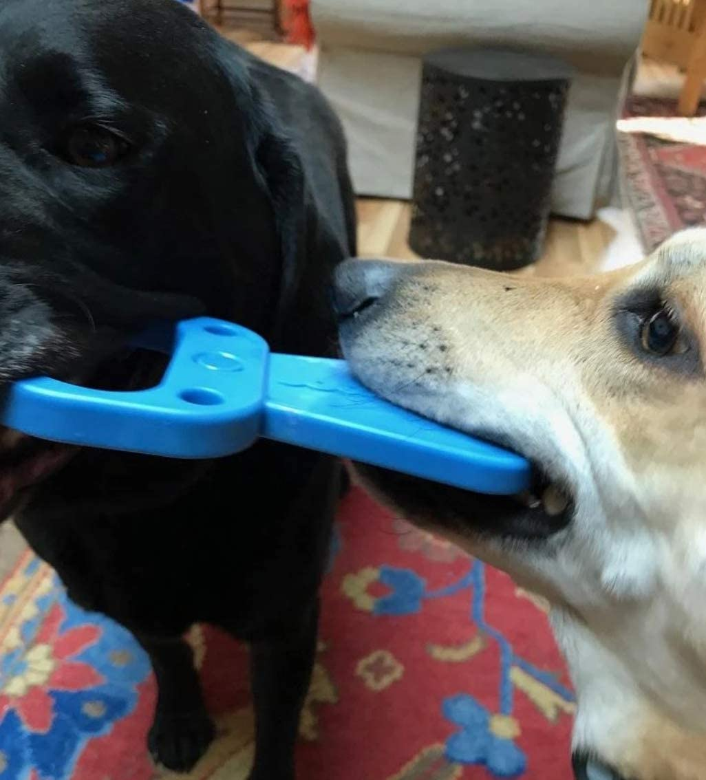 Sodapup Nylon Pop Top Pull Tab Power Chewer Toy- Blue. Ultra Durable Dog Chew Toy for Aggressive Chewers. Power Chew Toys for Those Dogs That Typically Wreck Everything in Minutes! image number 4