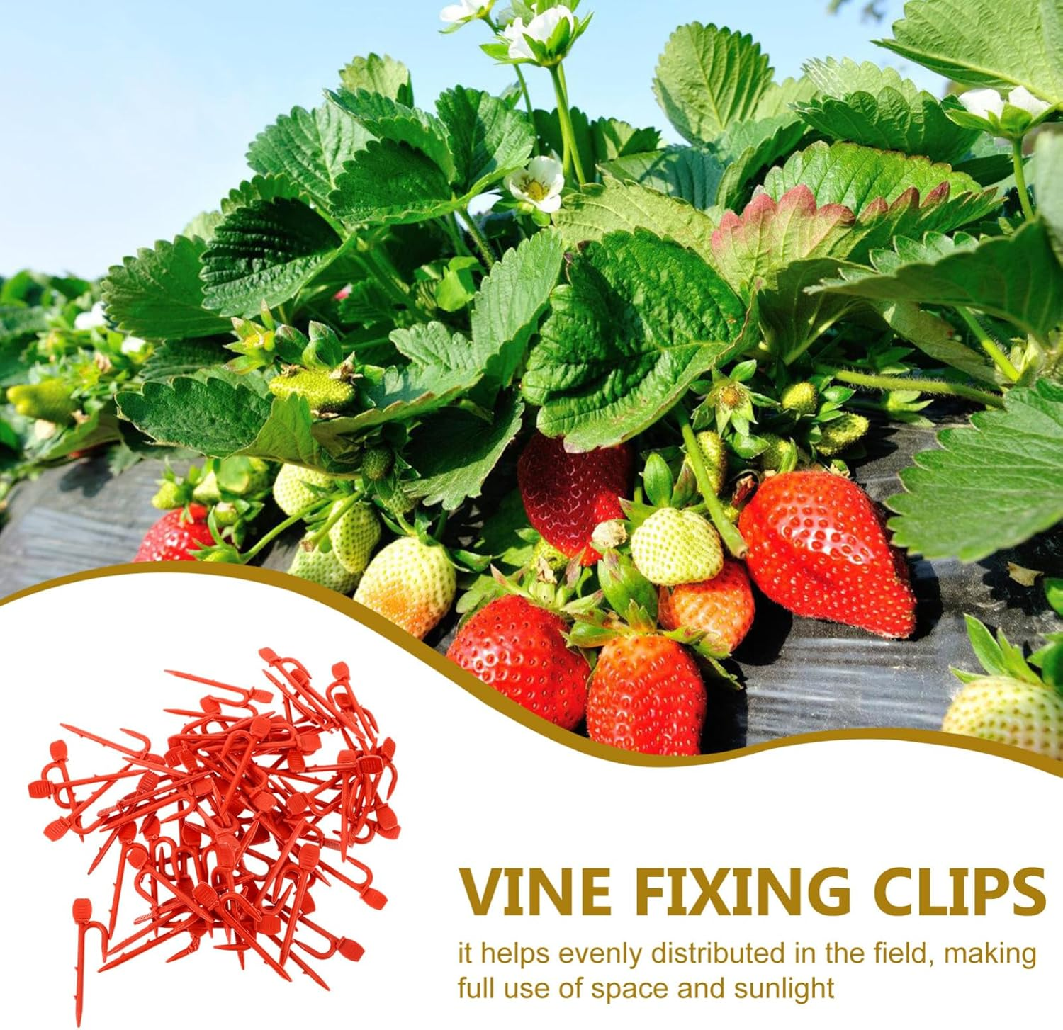 1Bag Strawberry Seedling Fork Gardening Plant Fixing Clips Reusable Vine Fixing Clip Fastening Vines Clamp Stolon Fastening Hook Bed Rails image number 5