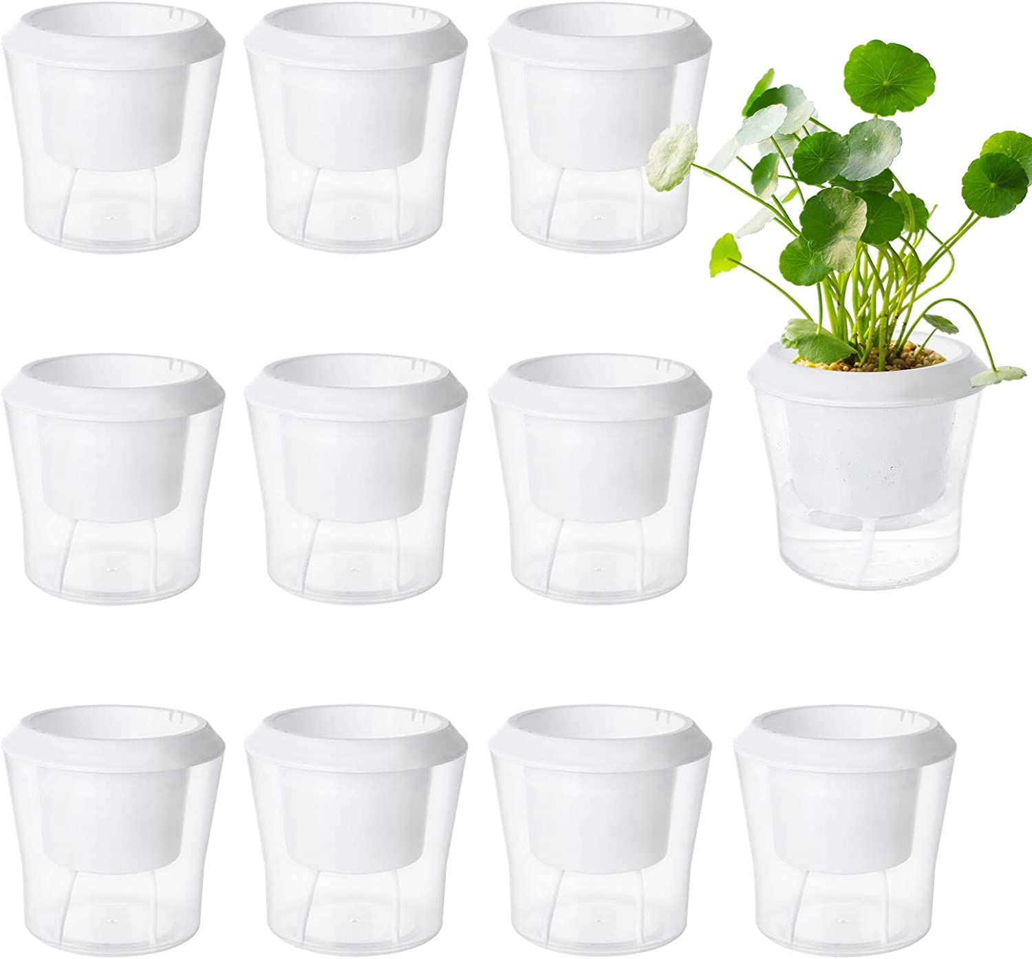 12 Pack Self Watering Pots for Indoor Plants 4.3 Inch Small Self-Watering Planter Pots with Water Level Indicator, Clear Plastic round Plant Pots for Succulent, Flowers, Herbs for Office Home Decor image number 3