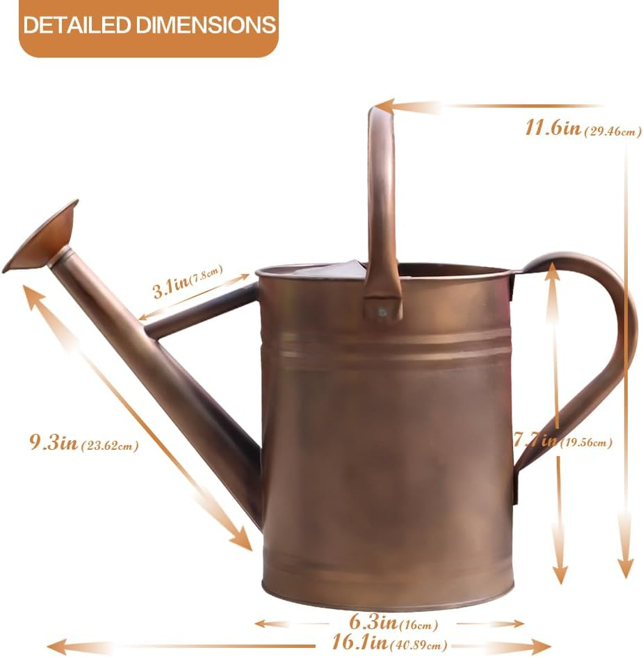 Sliver Galvanized Steel Watering Can with Copper Accents,Removable Rosette-Diffuser,One-Gallon