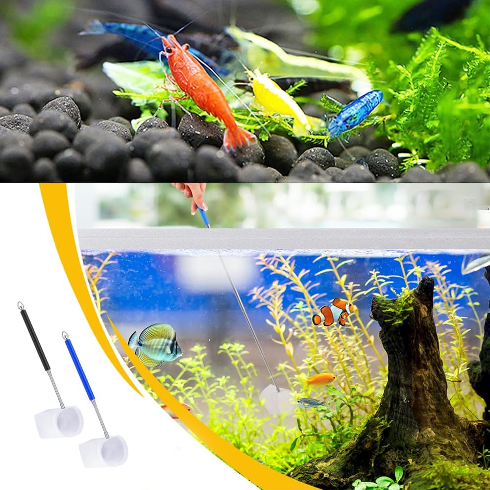 2Pcs Small Telescopic Shrimp Net for Aquarium & Fish Tank, Mini Telescopic Fish Net for Small Fish, Shrimp, Insect - Square & round Net Set, Easy to Use & Store image number 1