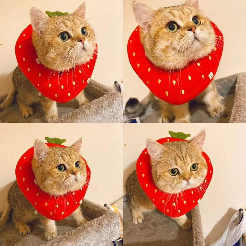 Adjustable Cat Recovery Collar, Cute Strawberry Collar after Surgery, Wound Healing Protective Cone Surgery Recovery Elizabethan Collars, Soft Cat Collar for Kitten Cats (Strawberry, L) image number 2