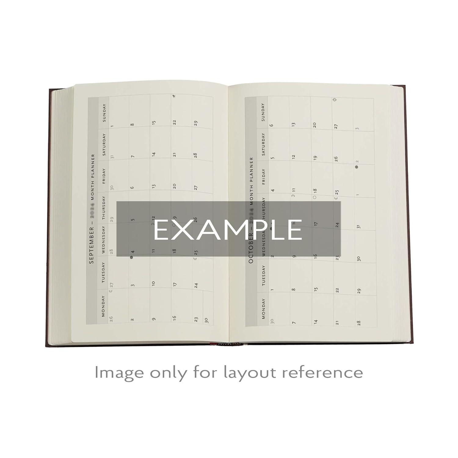 Olive Fairy (Lang S Fairy Books) Mini 12-Month Day-At-A-Time Hardback Dayplanner 2025 (Elastic Band Closure)