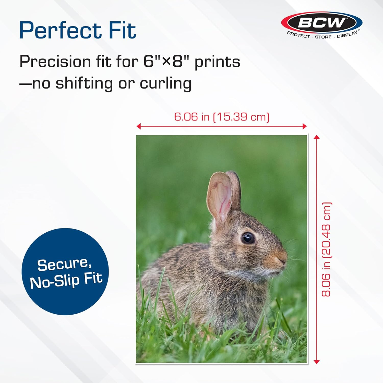 BCW 2 Mil Polypropylene Photo Sleeves, Clear (100 Sleeves) image number 3