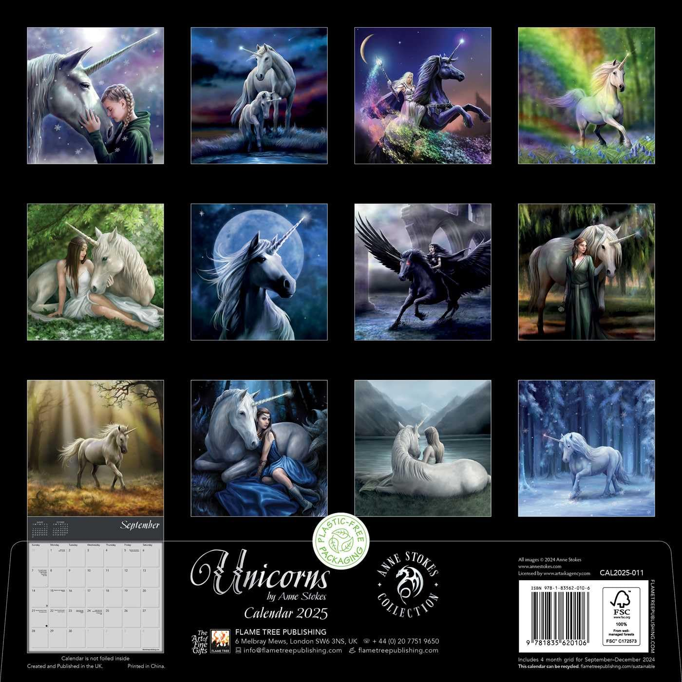 Unicorns by Anne Stokes Wall Calendar 2025 (Art Calendar) image number 1