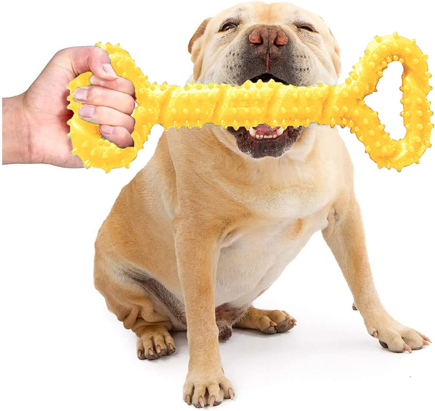Dog Chew Bone Toy for Aggressive Chewers, Made of Hard Rubber, Durable Chew Toy, Durable and Virtually Indestructible, Cleaning Teeth and Massaging Gums (Yellow) image number 5