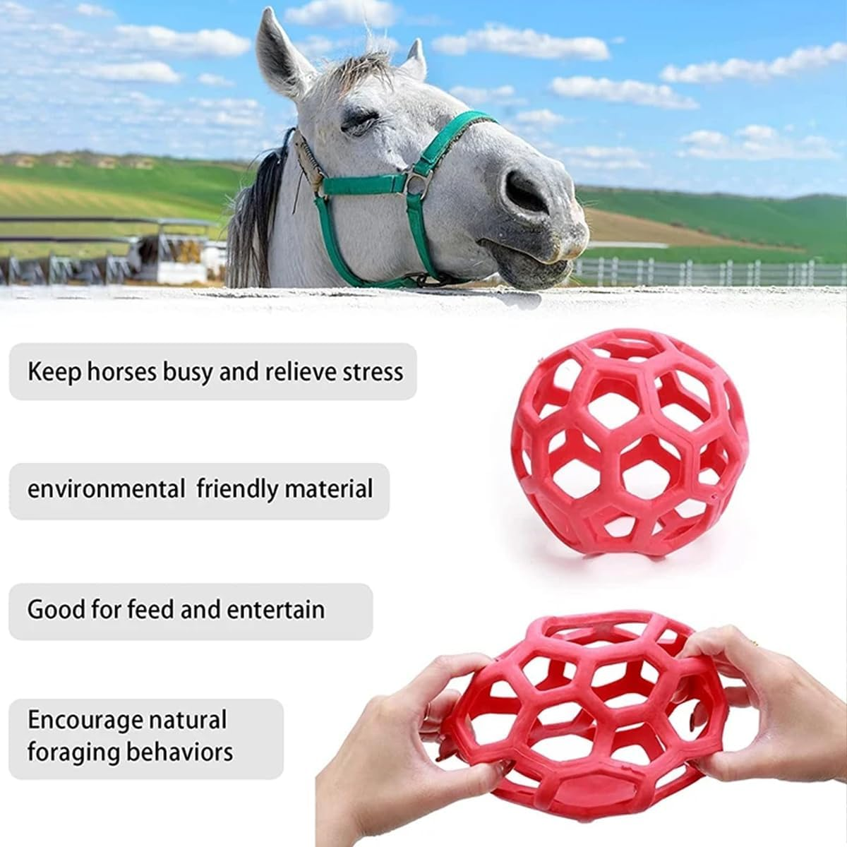 AIMALL Horse Treat Ball, Stable Hanging Hay Feeder, Polo Hay Feeding Ball Toy, 5.5 Inch Diameter, Red, Blue, Green - Red image number 2