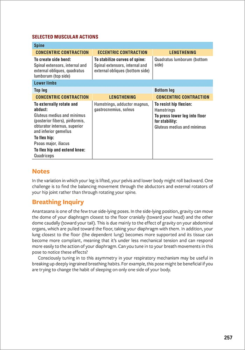 Yoga Anatomy image number 2