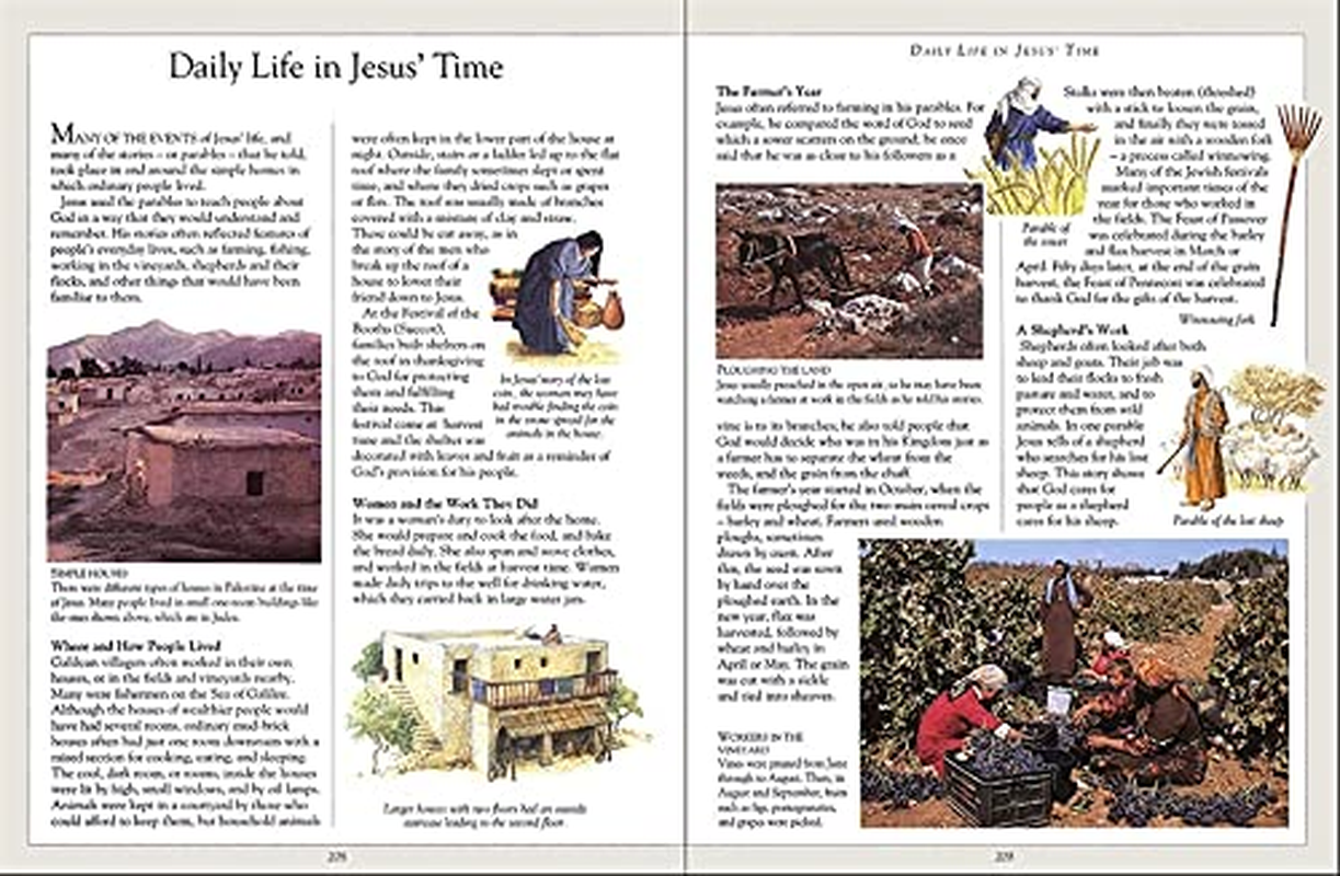 The Children'S Illustrated Bible image number 6