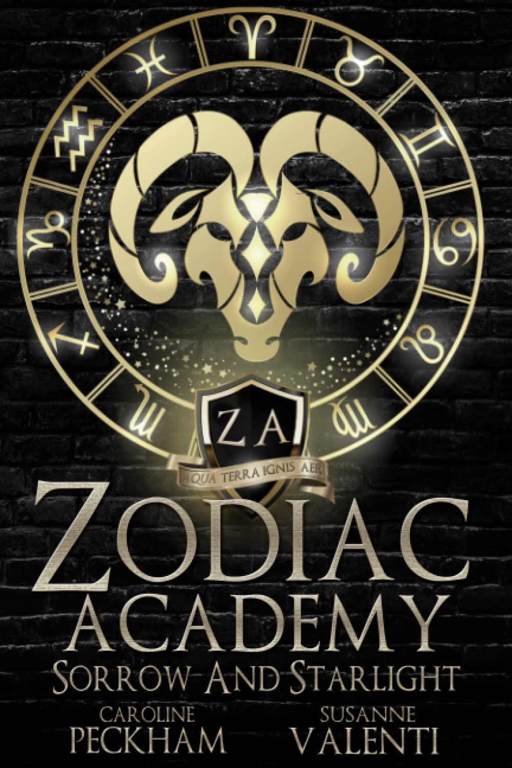 Zodiac Academy 8: Sorrow and Starlight image number 1