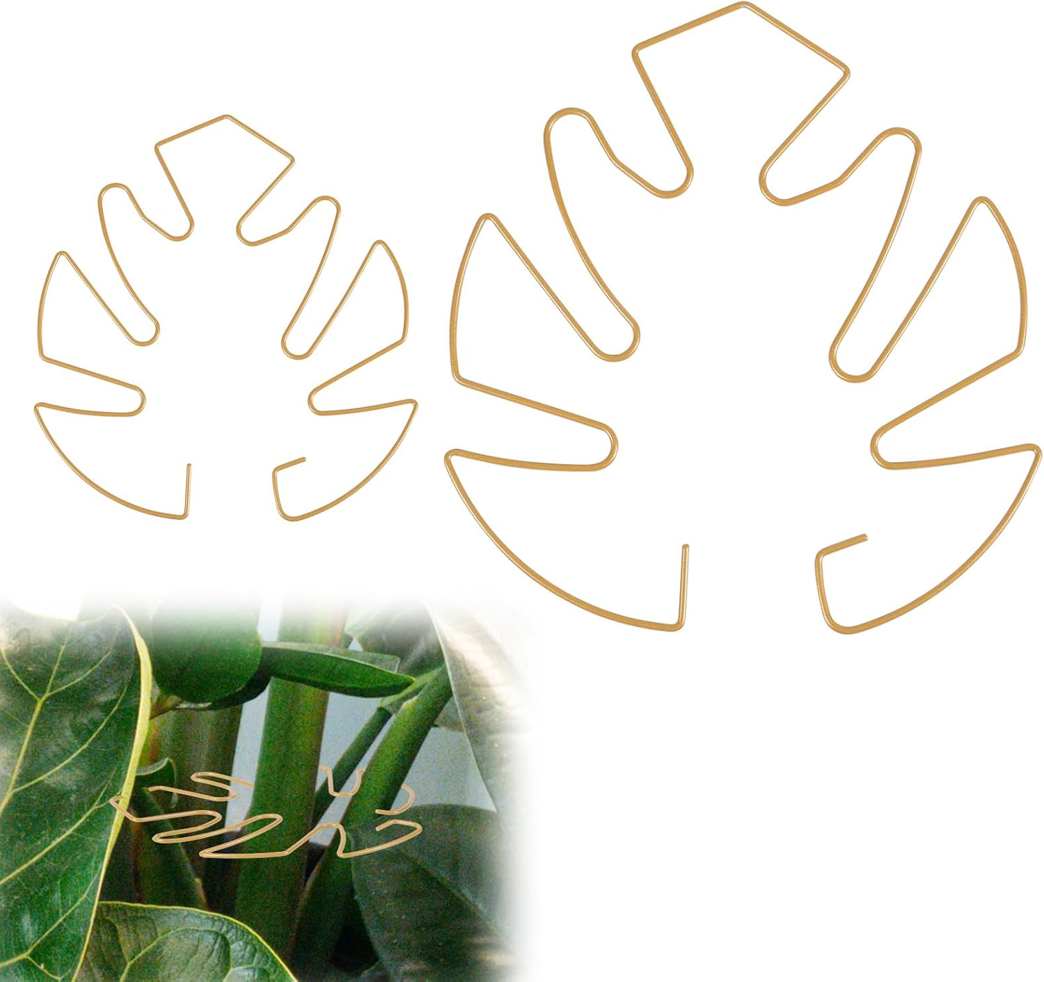 BOXOB Pack of 2 Plant Supports for Monstera Leaves, 2 Sizes Hooks to Support Climbing Plant Stems, Ideal Plant Support Monstera for Thriving Plant Growth (Black)