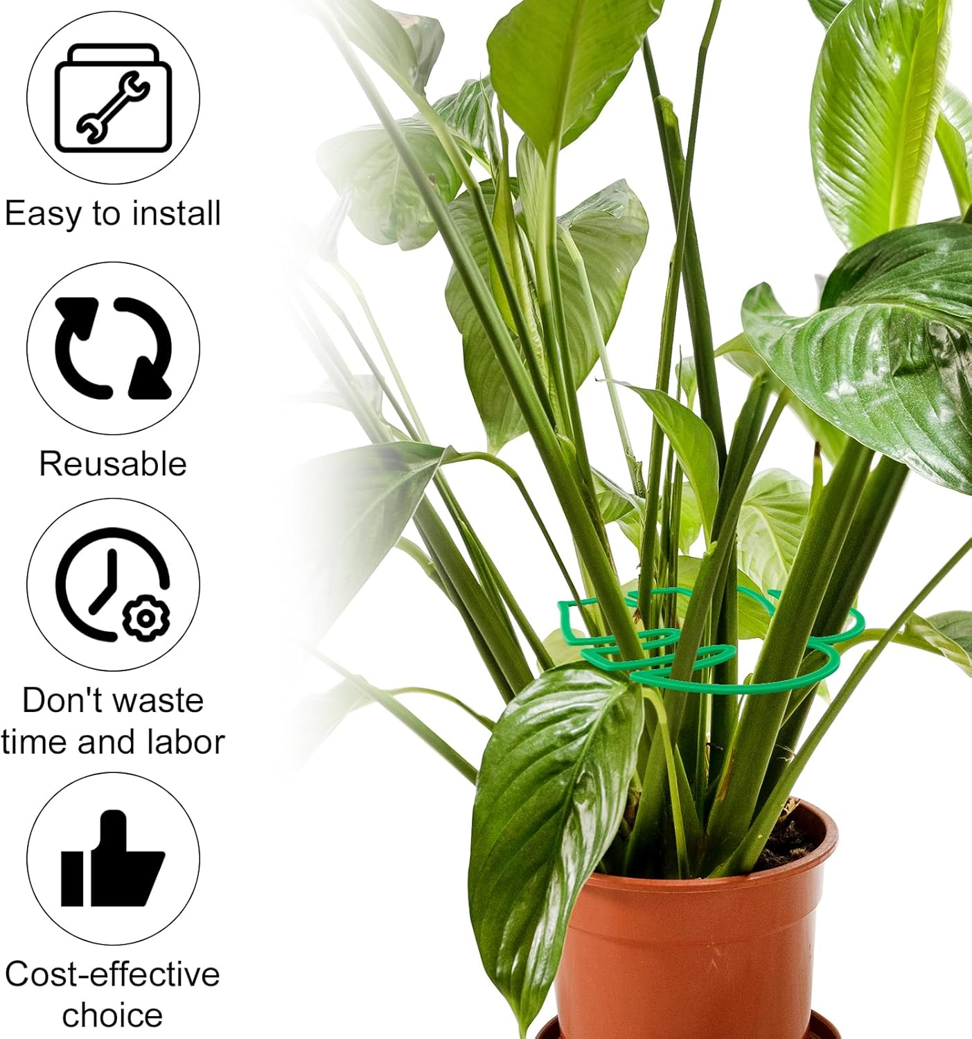 2Pcs Monstera Shaped Plant Stand, 2 Sizes Aesthetic Leaf Plant Support Climbing Houseplant Stem Supports Plant Stem Support Plant Growth Accessories for Keeping Plants Growing Vertical (Green) image number 4