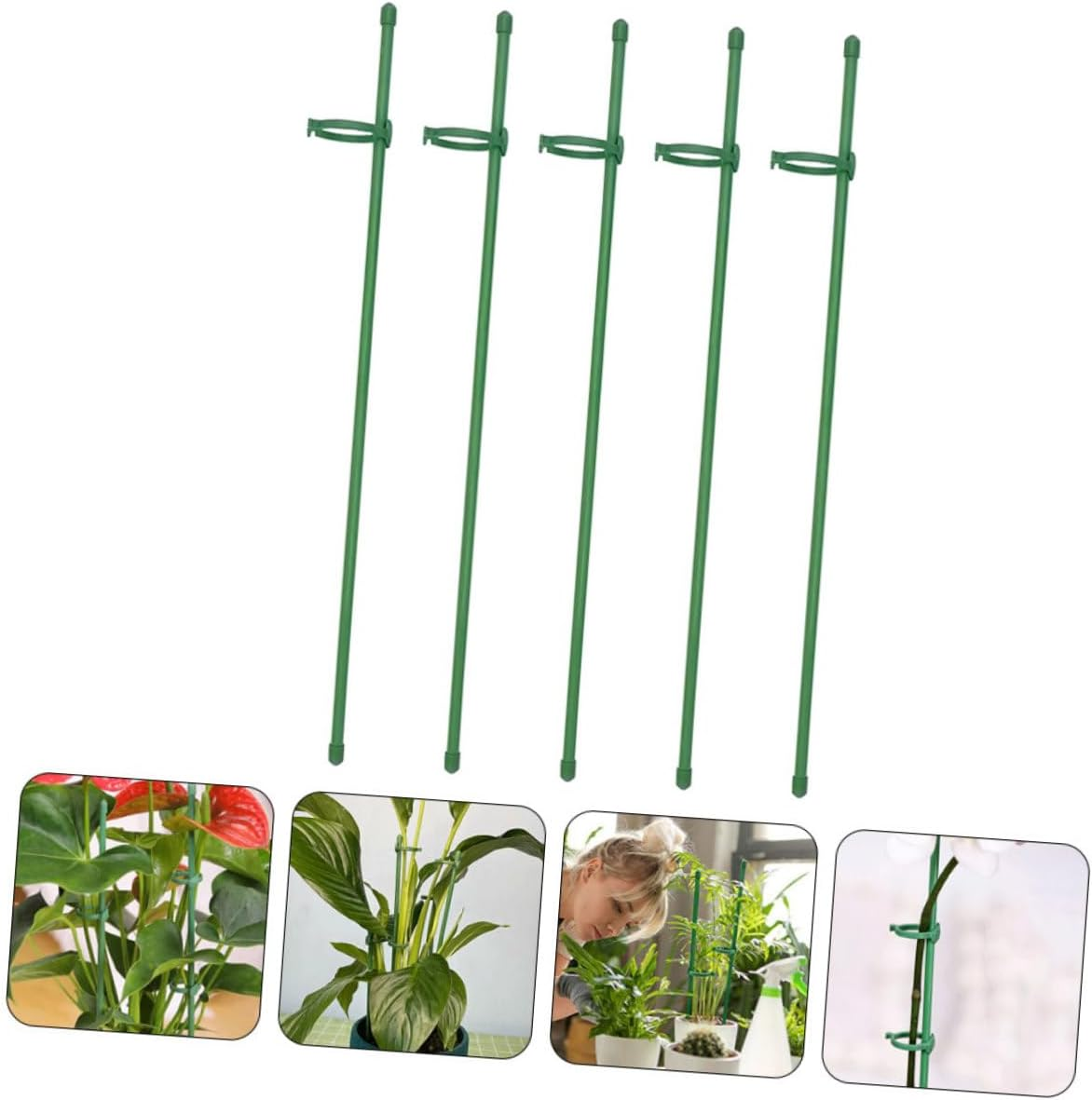 Yardenfun 12Sets Plant Support Stakes Single Stem Support for Flowers and Tomatoes Garden Supplies Garden Stake