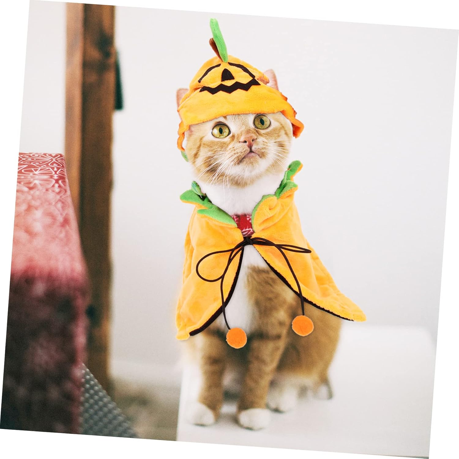 BESPORTBLE 3Sets Pet Halloween Costume Set of Pumpkin Cloak Hat for Dogs and Cats Adorable Pet Outfit for Halloween Parties Easy to Wear for Cosplay and Festive Occasions image number 6