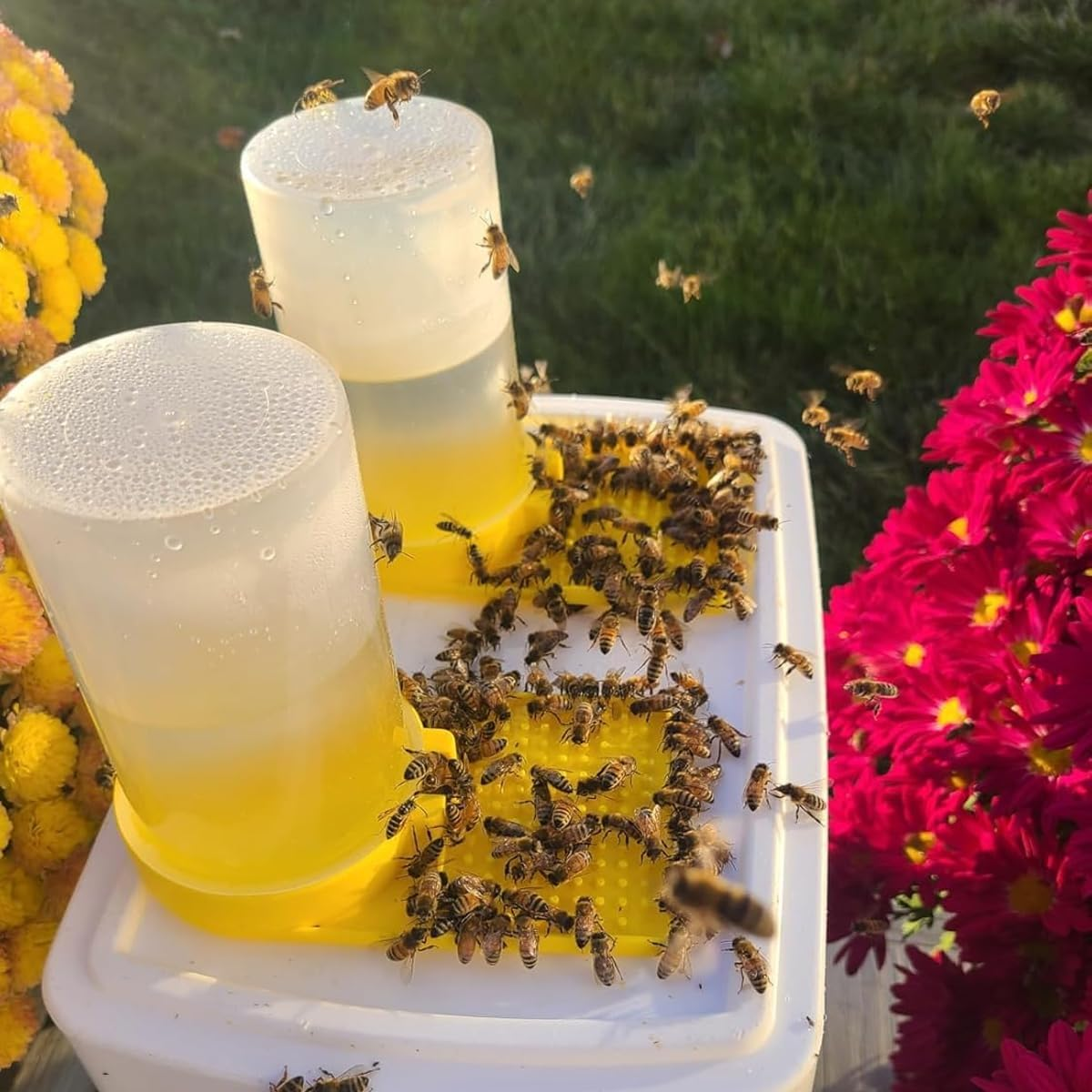 AIMALL 10PCS Bee Feeder Kit - High-Capacity Beekeeping Feeder with Sealed Design for Hive Entrance - Durable and Transparent Point Feeder - 2.75X5.12 Inches image number 6