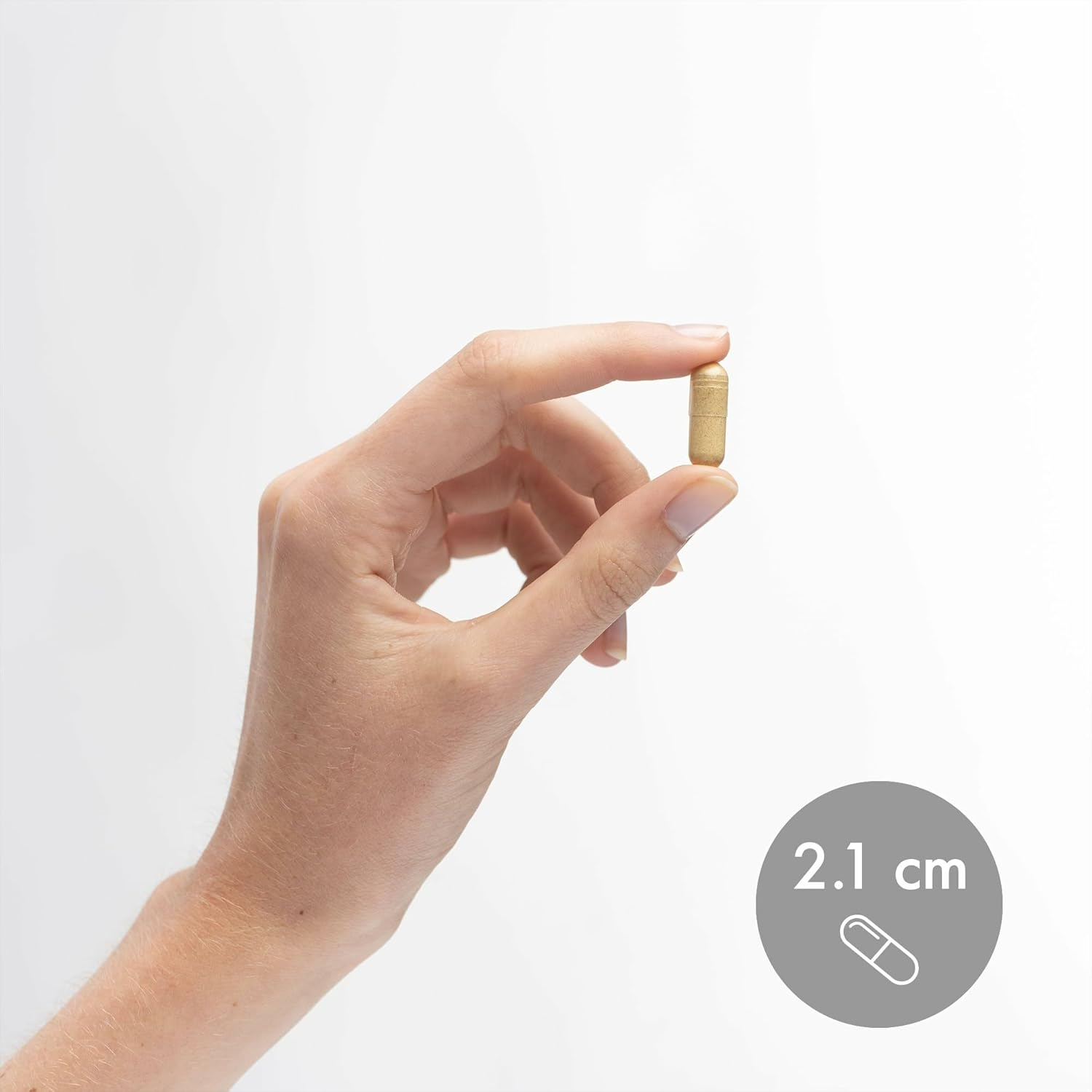 Gallbladder Enzymes image number 6