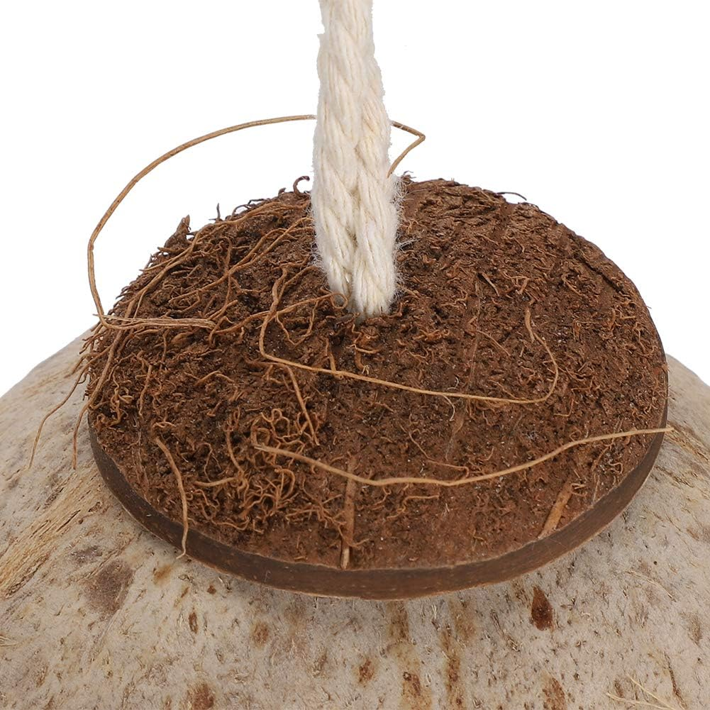 High Hardness Coconut Nest, Bite Resistance Coconut Shell House, Climbing Ladder Hideaway Toy House for Birds