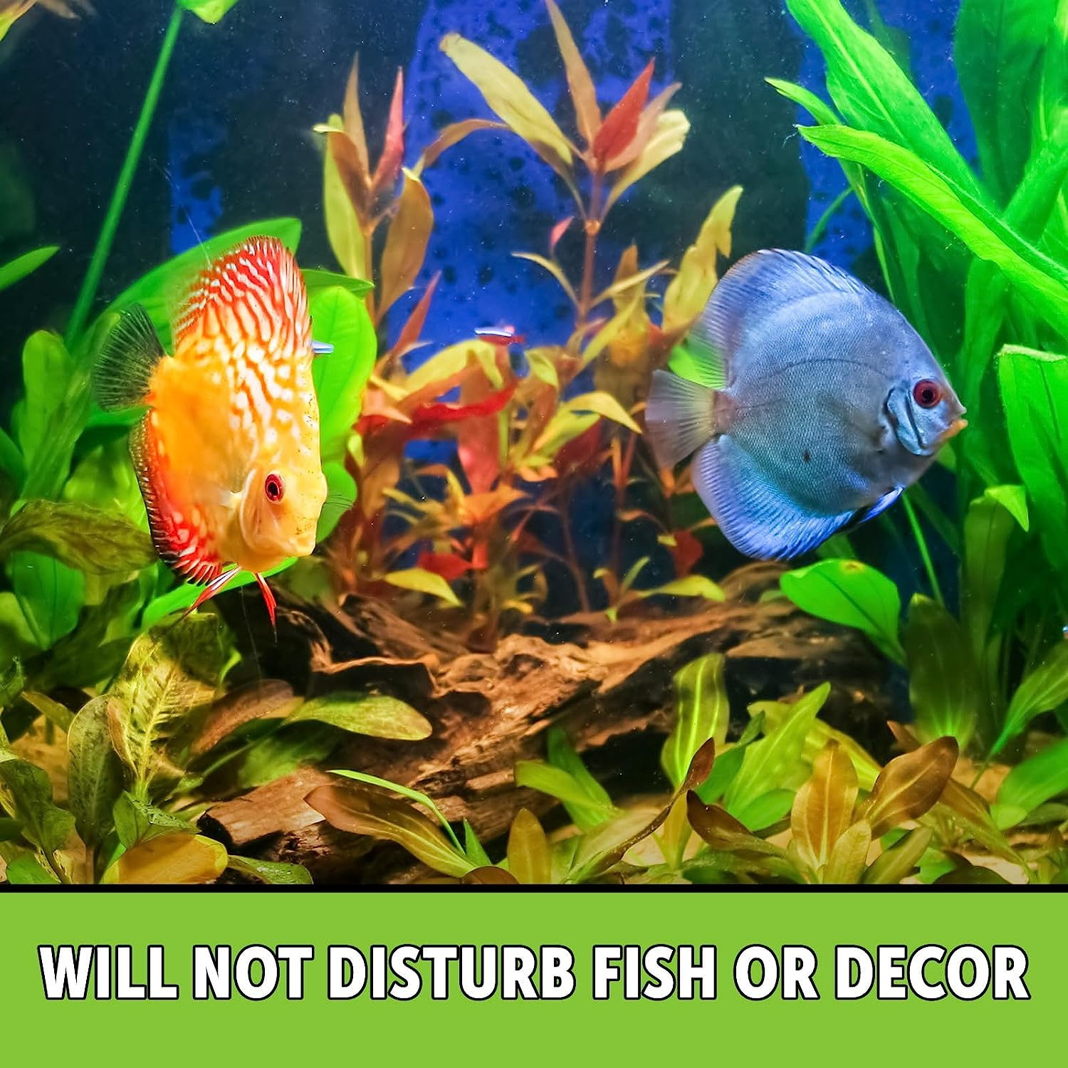 Python 940023 No Spill Clean and Fill Aquarium Maintenance System, 50-Feet