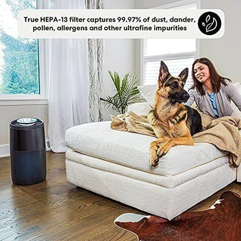 Instantbrands Air Purifier AP300, Plasma Ion Technology & HEPA-13 Filter, Removes 99.9% of Virus Particles from Treated Air*1, Large, Black