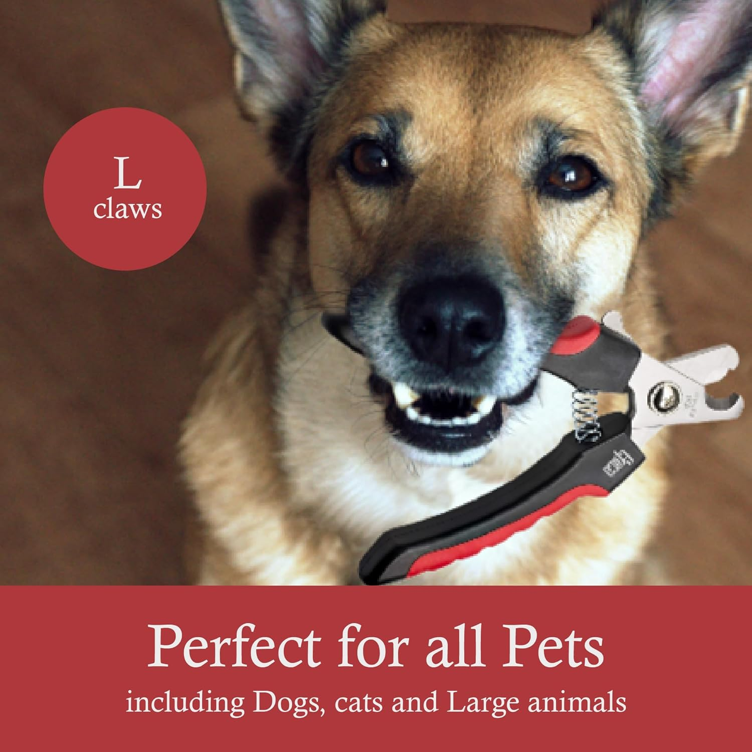Best Professional Pet Nail Clipper Large