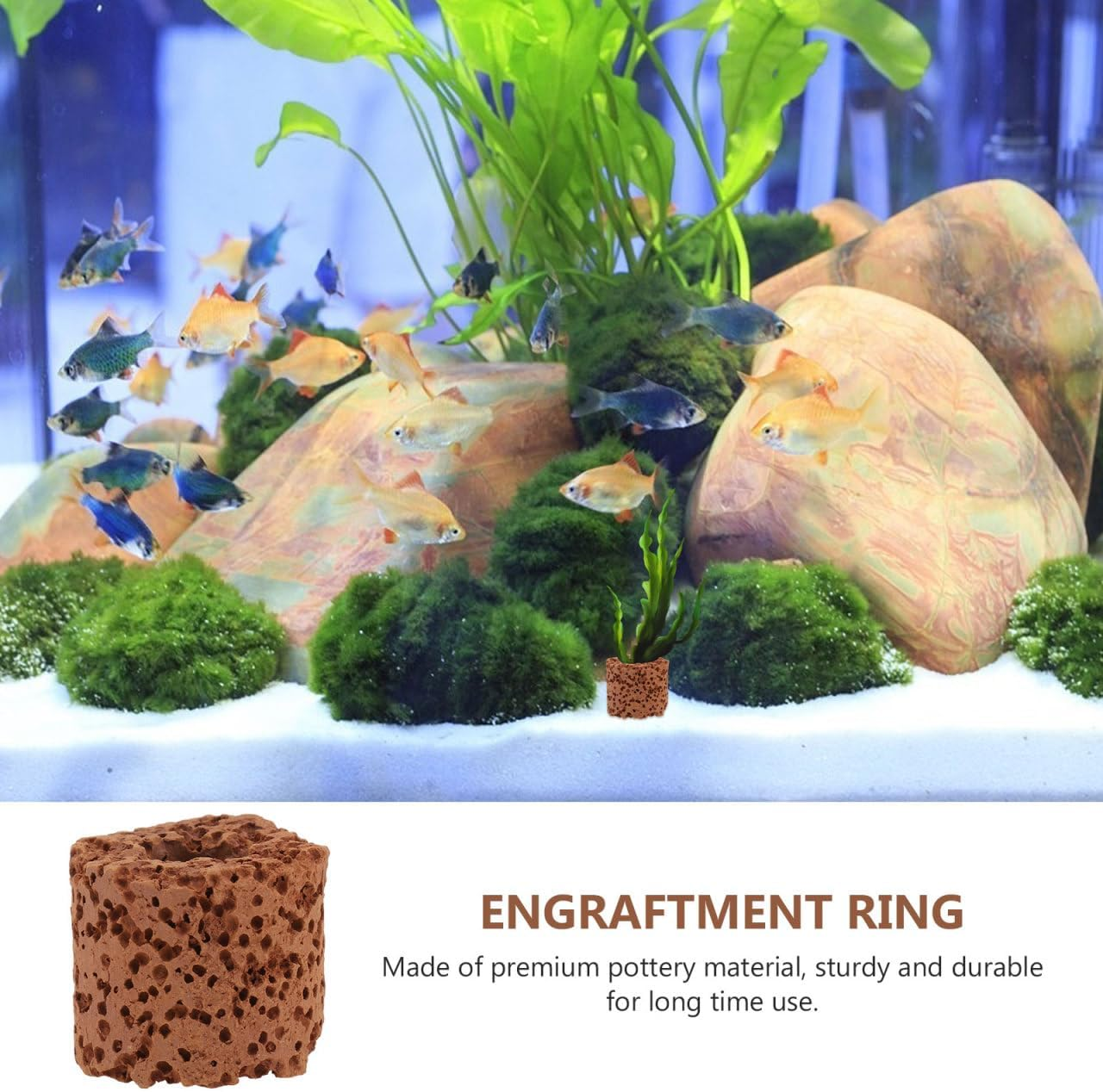 POPETPOP Aquarium Plant Fixed Rings 30 Pcs Pottery Weighted Water Plant Holders for Fish Tank Landscaping Decoration without Substrate image number 5