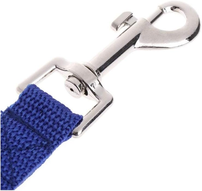 Dog Lead Puppy Pet Training Recall Walking Harness 5 Metre Strong Long Line Leash image number 1