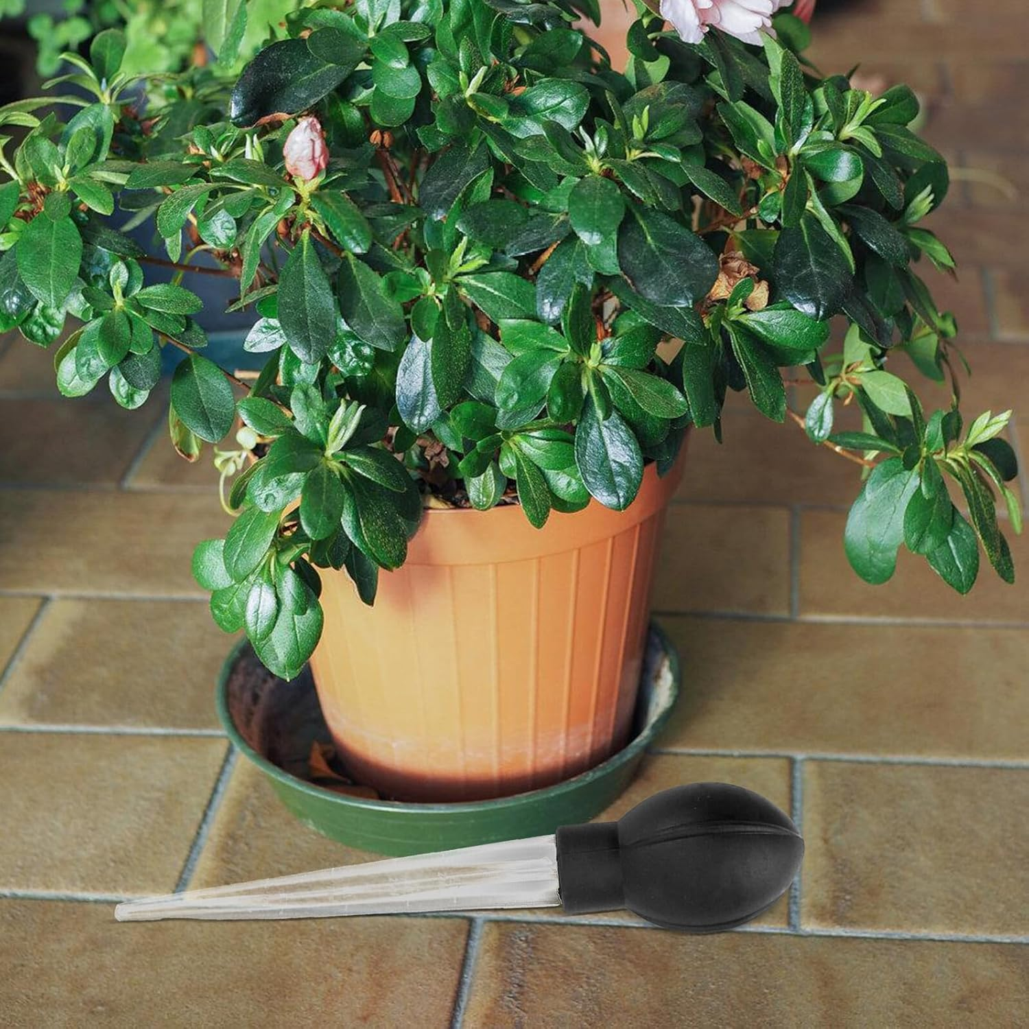 Outanaya Plant Tray Water Absorber Saucer Water Remover Gardening Tool for Flower Pot Accessories Large Size Rubber Base for Indoor and Outdoor Use image number 6