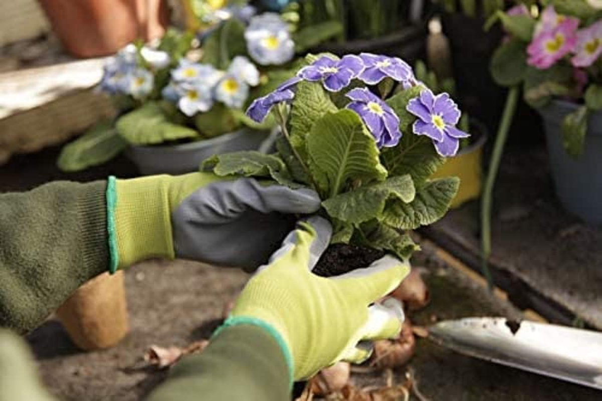 Spear & Jackson Kew Gardens Collection Seeding & Weeding Gloves, Large