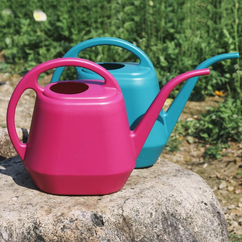 Watering Can - for Home Plant Garden (Blue, 2L)